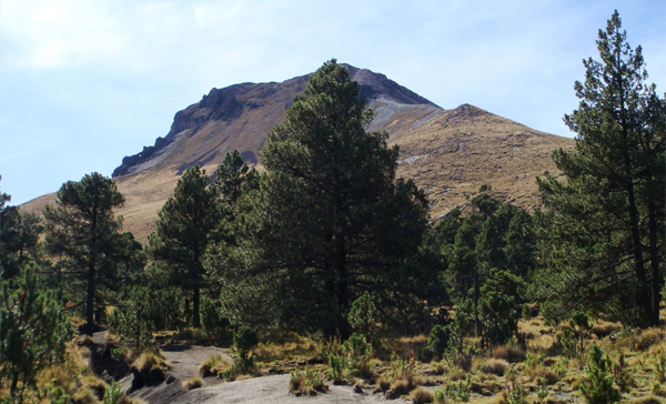 Conservación de bosques.