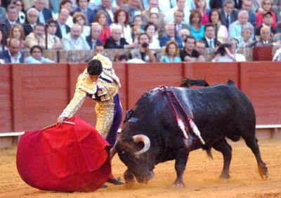Corrida de toros. Prohibición.