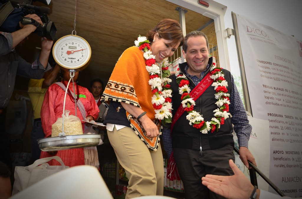 Rosario Robles. La política asistencial.