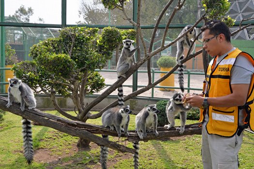 Zoológico de Neza. Mayores visitas.
