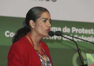 luzmariazarza_consejerajuridica_planamayor2