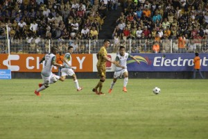 potros_dorados_a16(1)