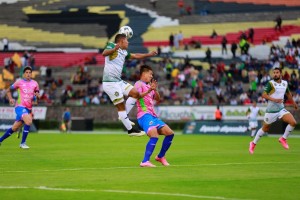 potros_alebrijes_a16(1)